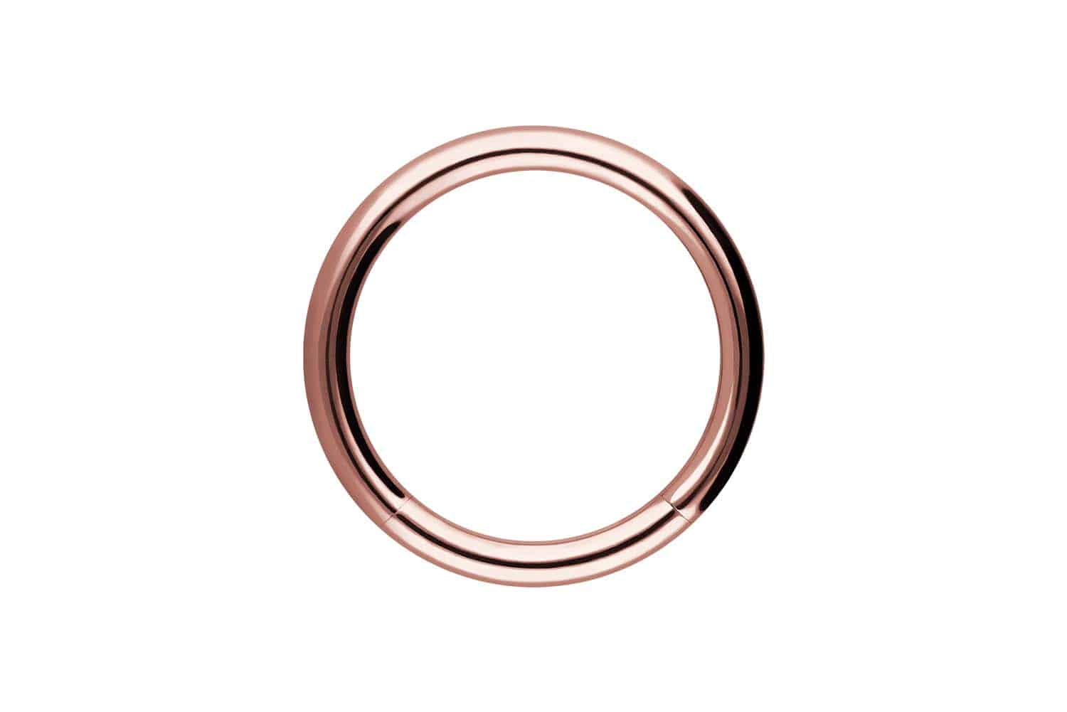 Chirurgenstahl Segmentring von Piercingline